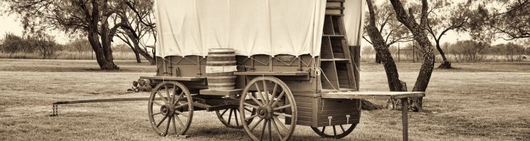 new page banner 4