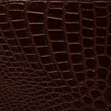 The Croc Crest - Crocodile Card Holder