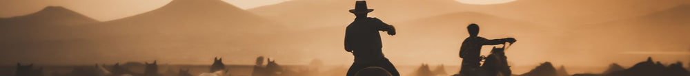 western leather goods banner 3