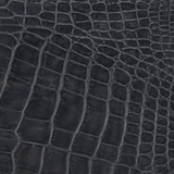 The Croc Crest - Crocodile Card Holder