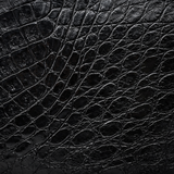 The River Crocodile Zip Wallet